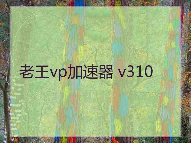 老王vp加速器 v310