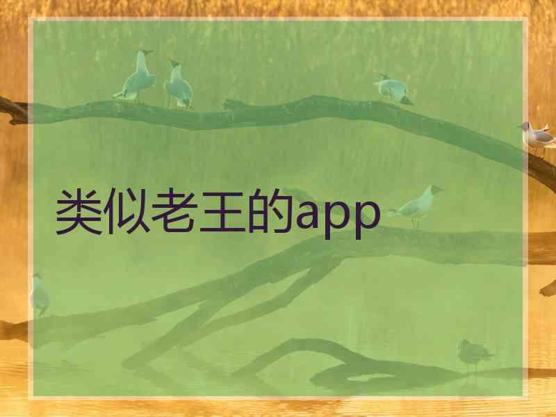 类似老王的app