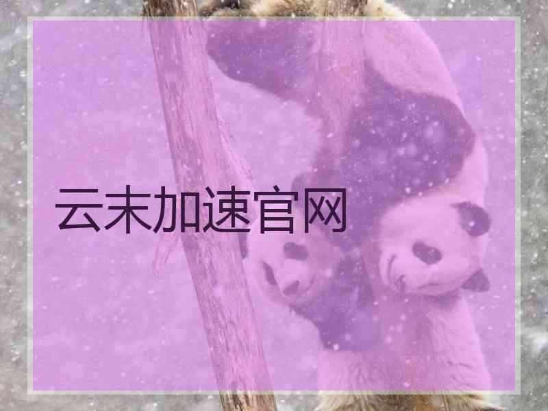 云末加速官网