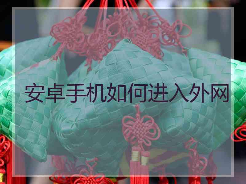 安卓手机如何进入外网