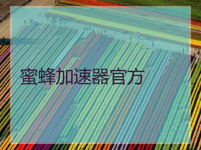 蜜蜂加速器官方