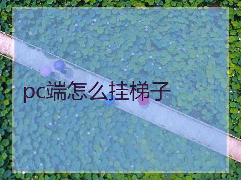 pc端怎么挂梯子