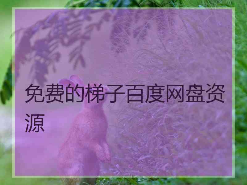 免费的梯子百度网盘资源