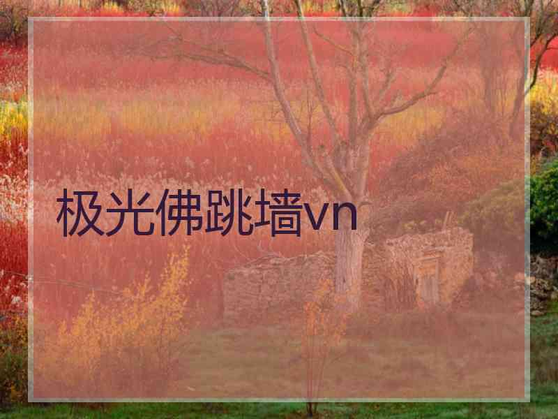 极光佛跳墙vn