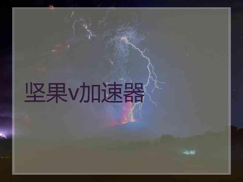坚果v加速器