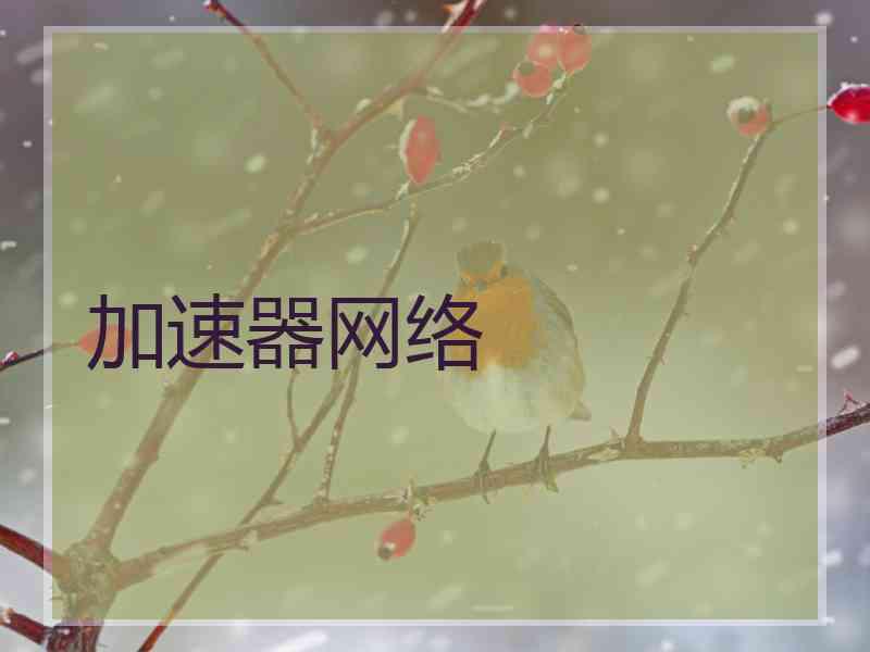 加速器网络
