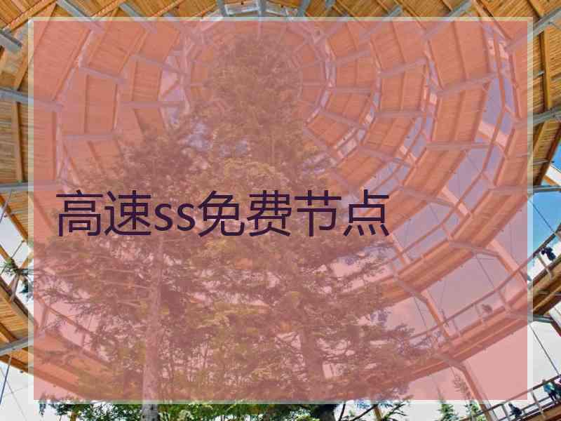 高速ss免费节点