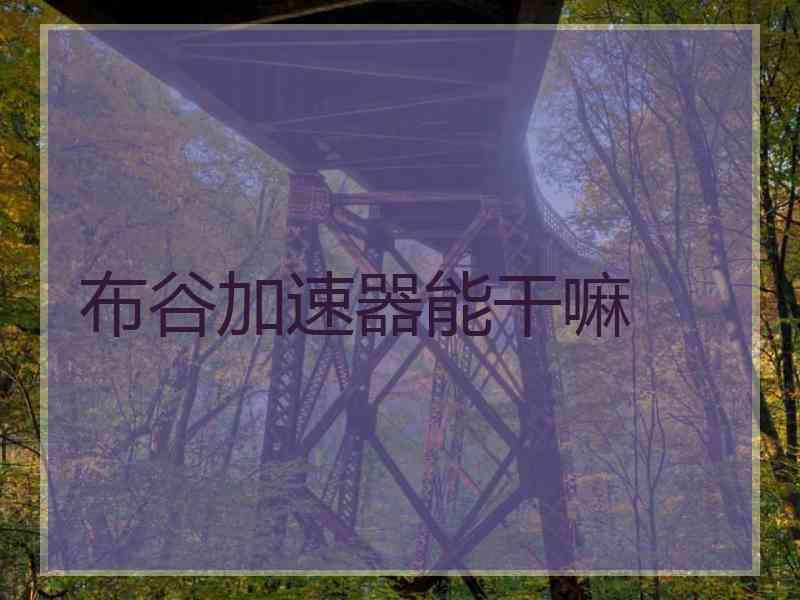 布谷加速器能干嘛