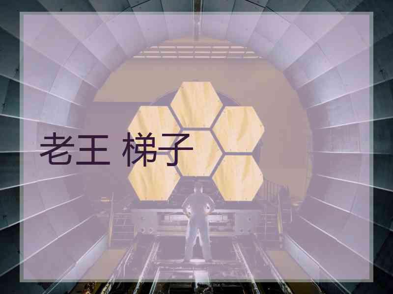 老王 梯子