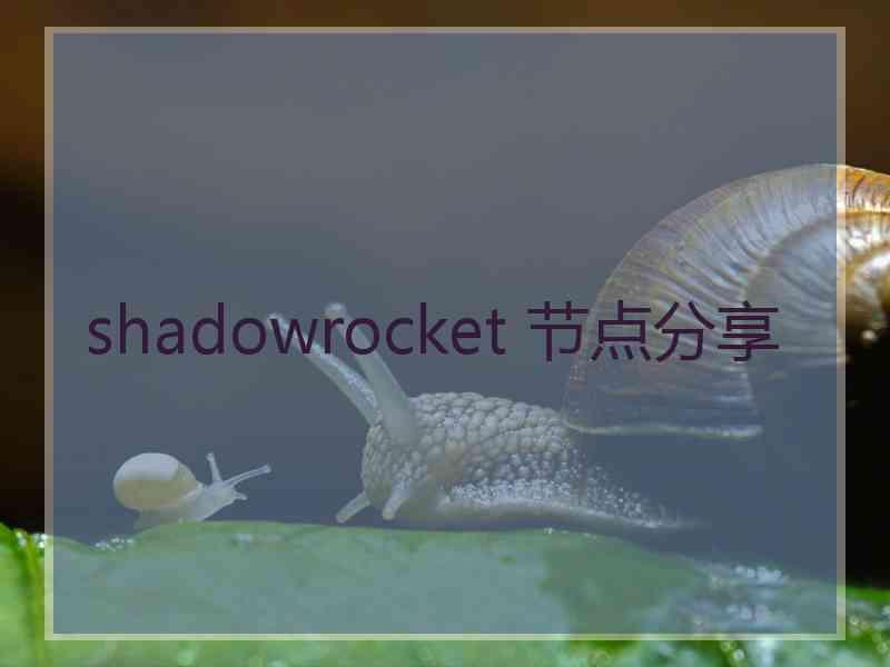 shadowrocket 节点分享