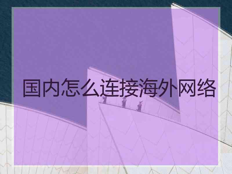 国内怎么连接海外网络