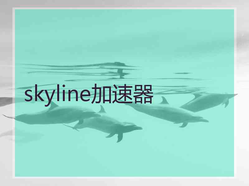 skyline加速器
