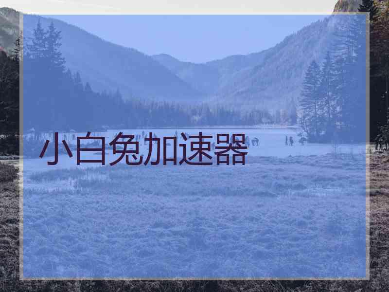 小白兔加速器