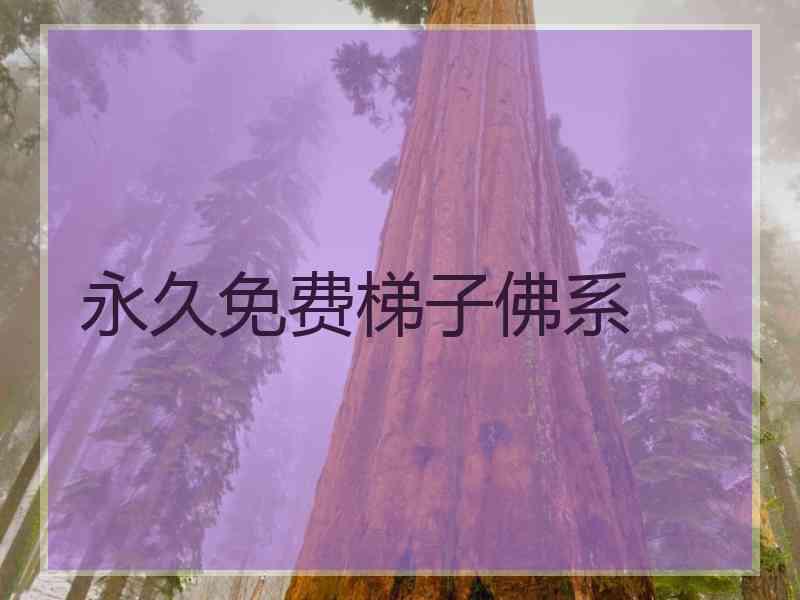 永久免费梯子佛系