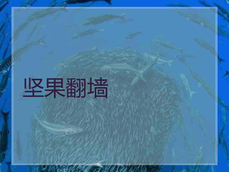坚果翻墙