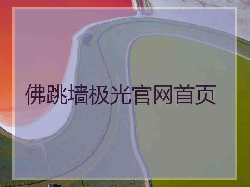 佛跳墙极光官网首页