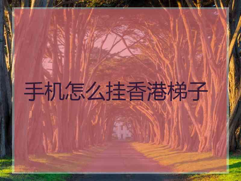 手机怎么挂香港梯子