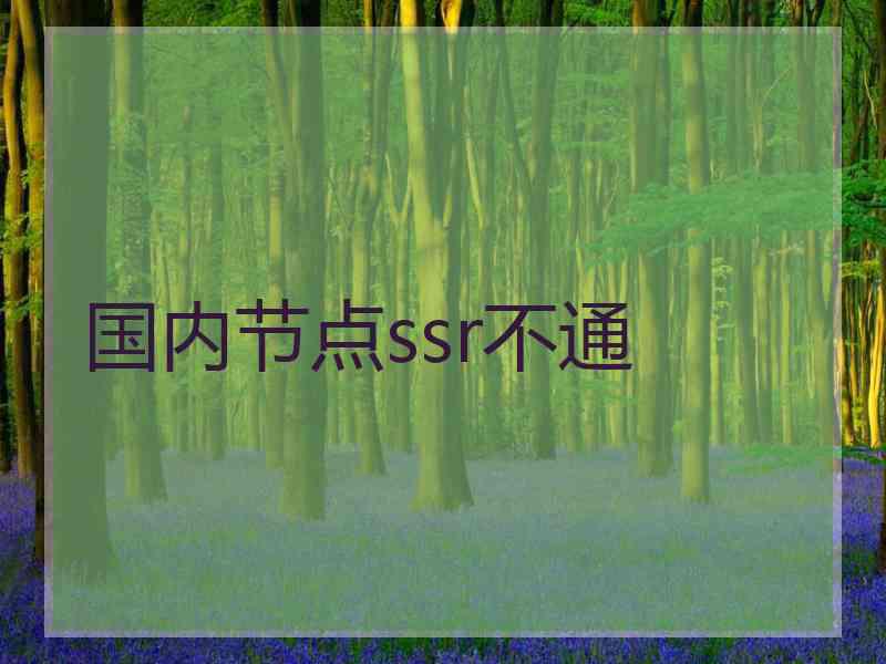 国内节点ssr不通