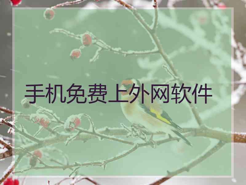手机免费上外网软件