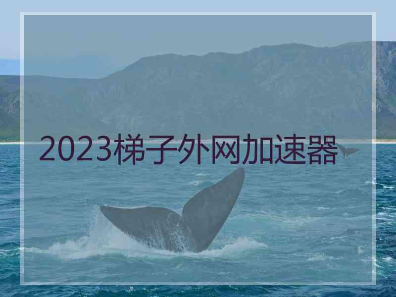 2023梯子外网加速器