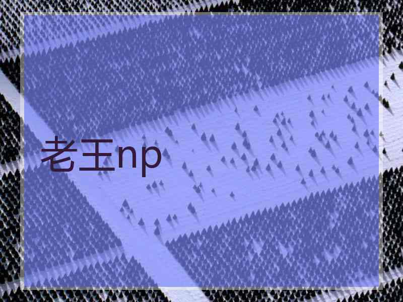 老王np