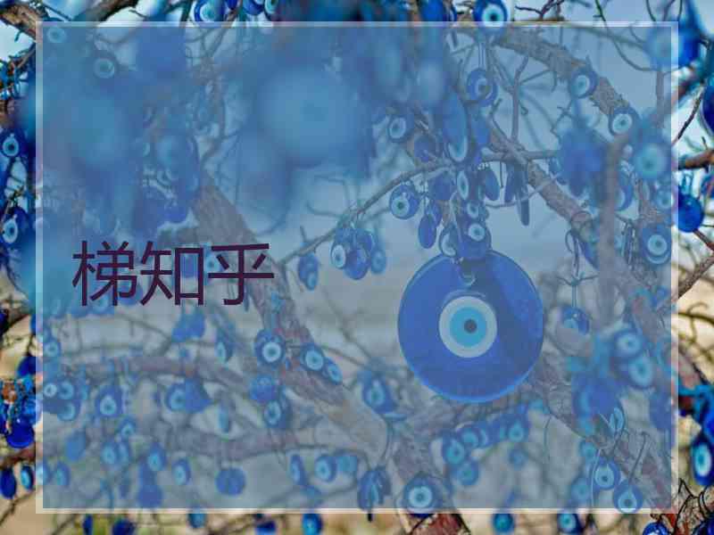 梯知乎