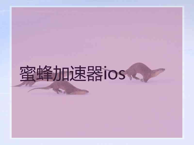 蜜蜂加速器ios