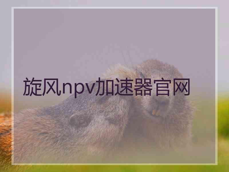 旋风npv加速器官网