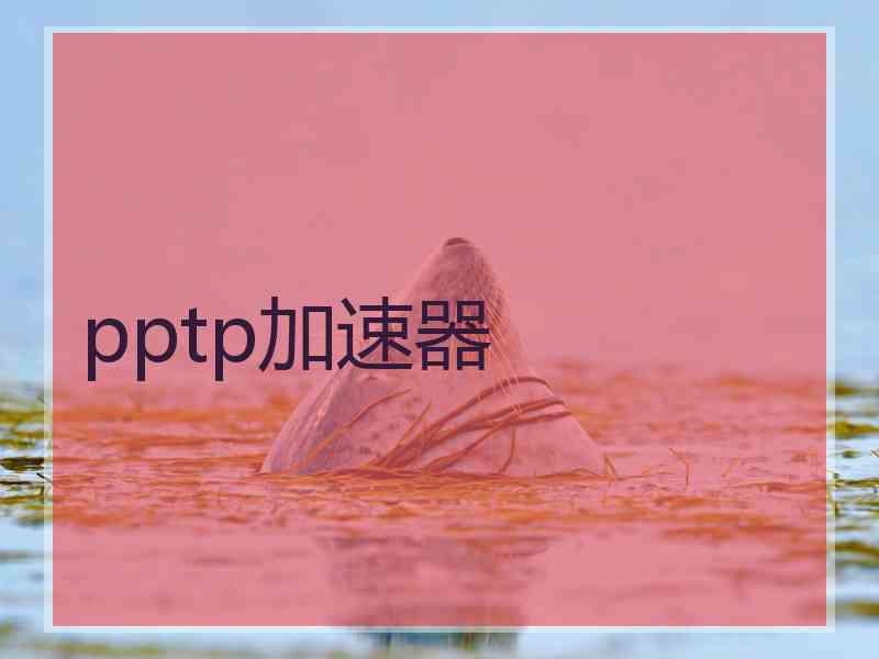 pptp加速器