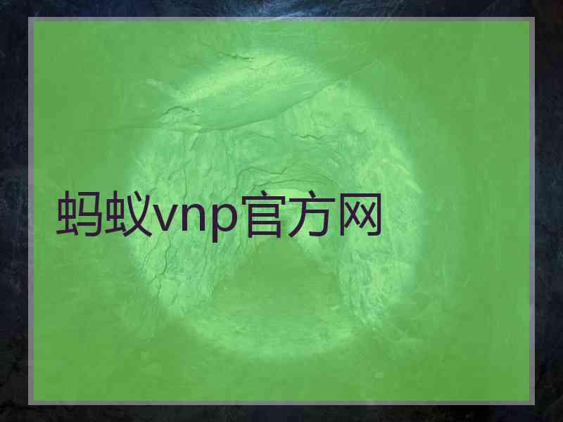蚂蚁vnp官方网