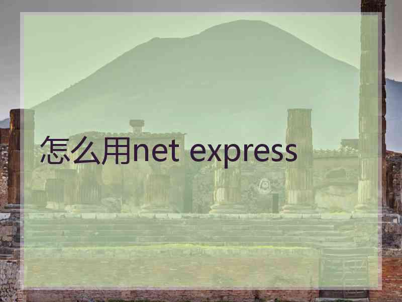 怎么用net express