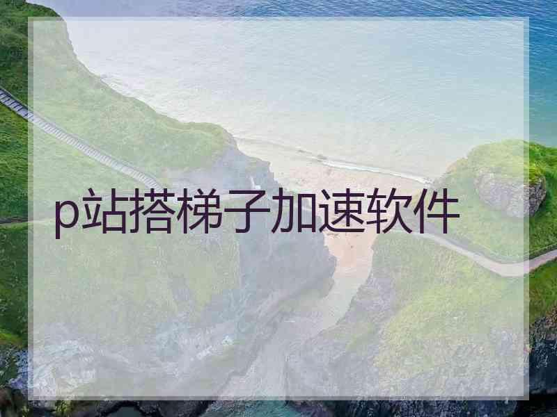 p站搭梯子加速软件