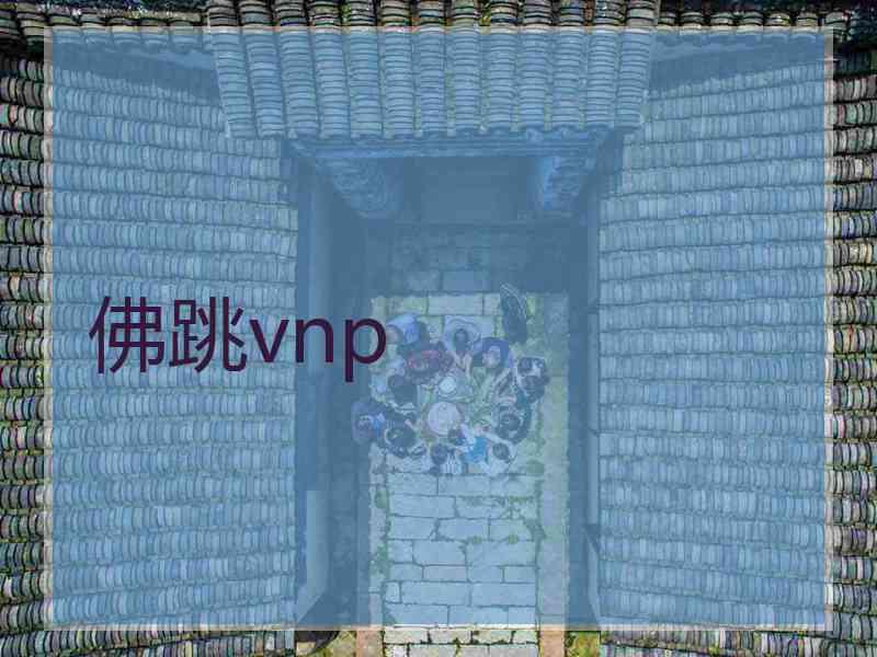 佛跳vnp