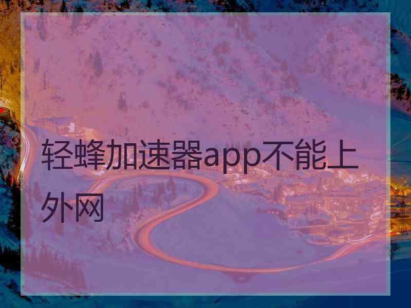 轻蜂加速器app不能上外网
