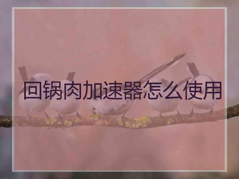 回锅肉加速器怎么使用