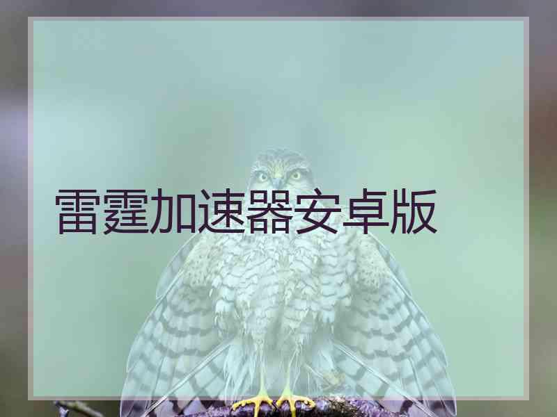 雷霆加速器安卓版