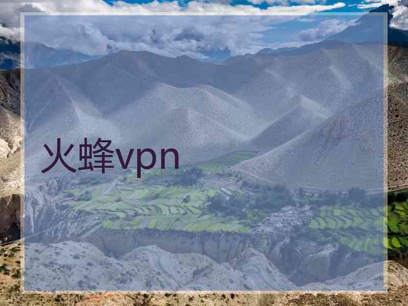 火蜂vpn