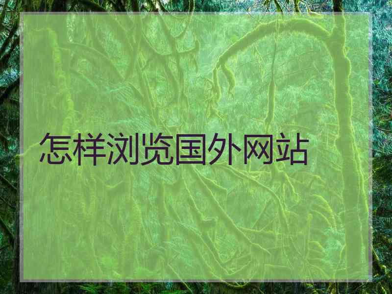 怎样浏览国外网站
