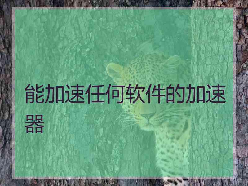 能加速任何软件的加速器