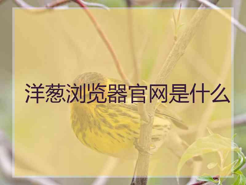 洋葱浏览器官网是什么