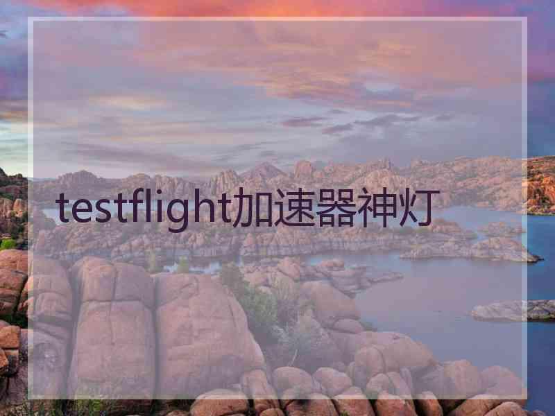 testflight加速器神灯