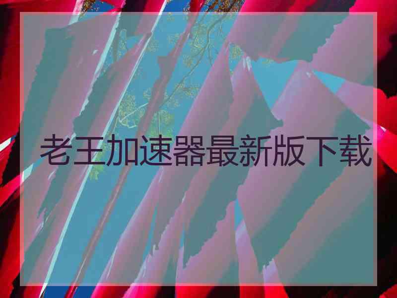 老王加速器最新版下载