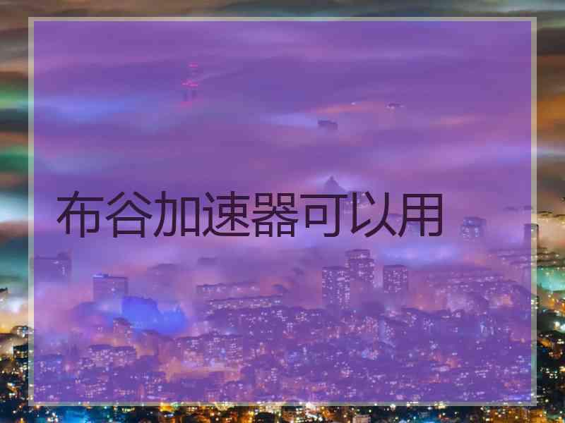 布谷加速器可以用