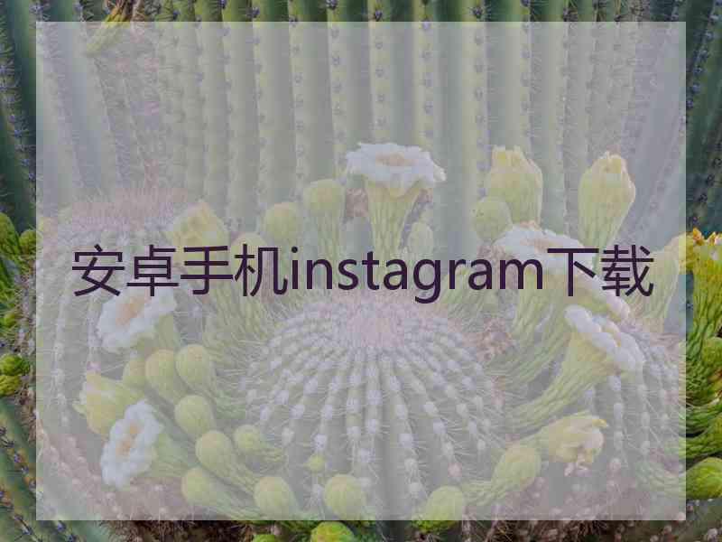 安卓手机instagram下载