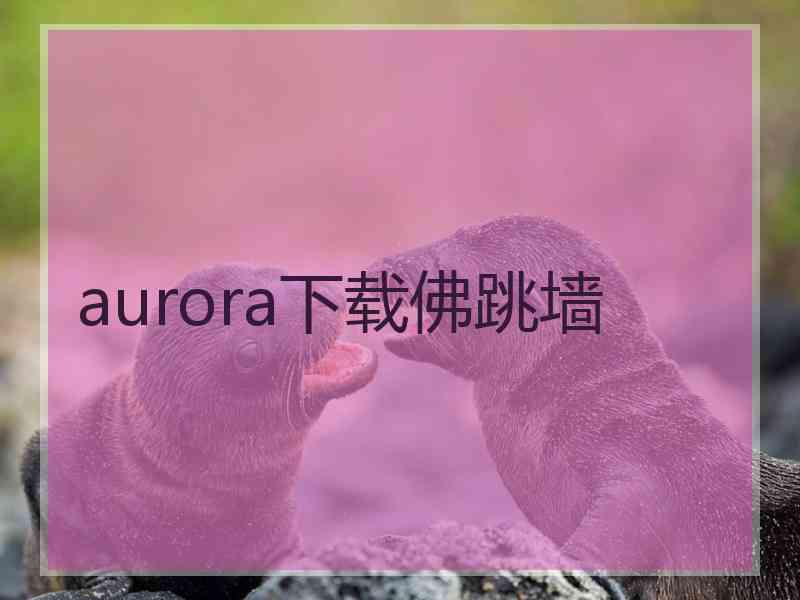 aurora下载佛跳墙