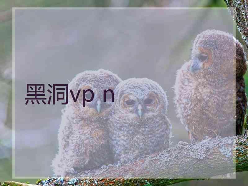 黑洞vp n