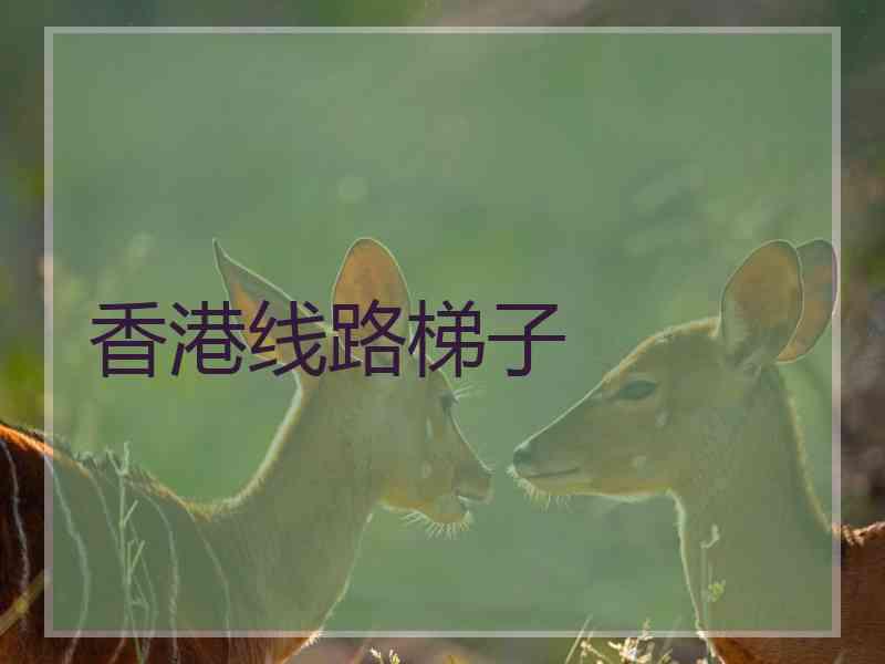 香港线路梯子