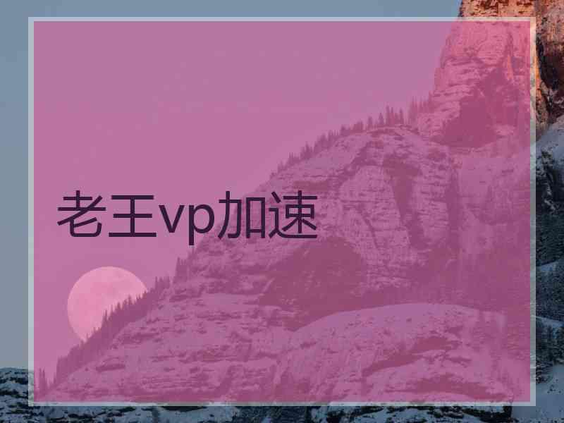 老王vp加速