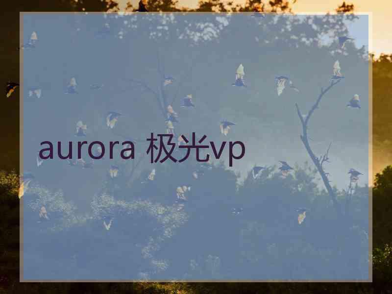 aurora 极光vp