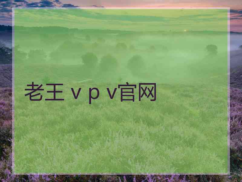 老王 v p v官网
